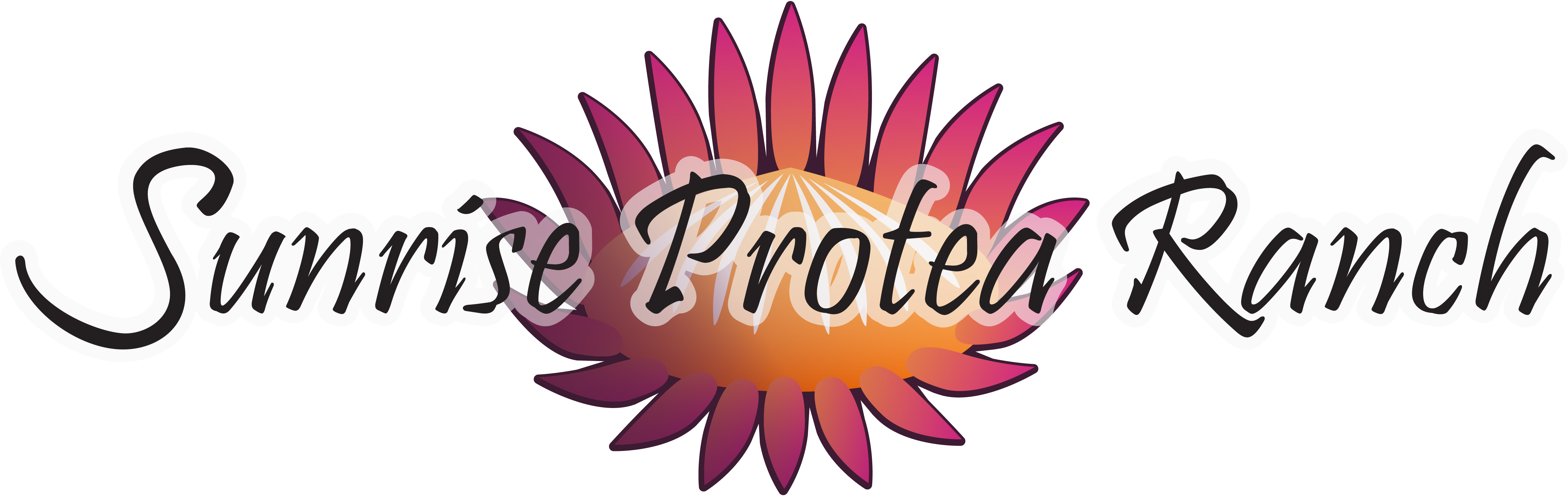 Sunrise Protea Ranch navigation logo